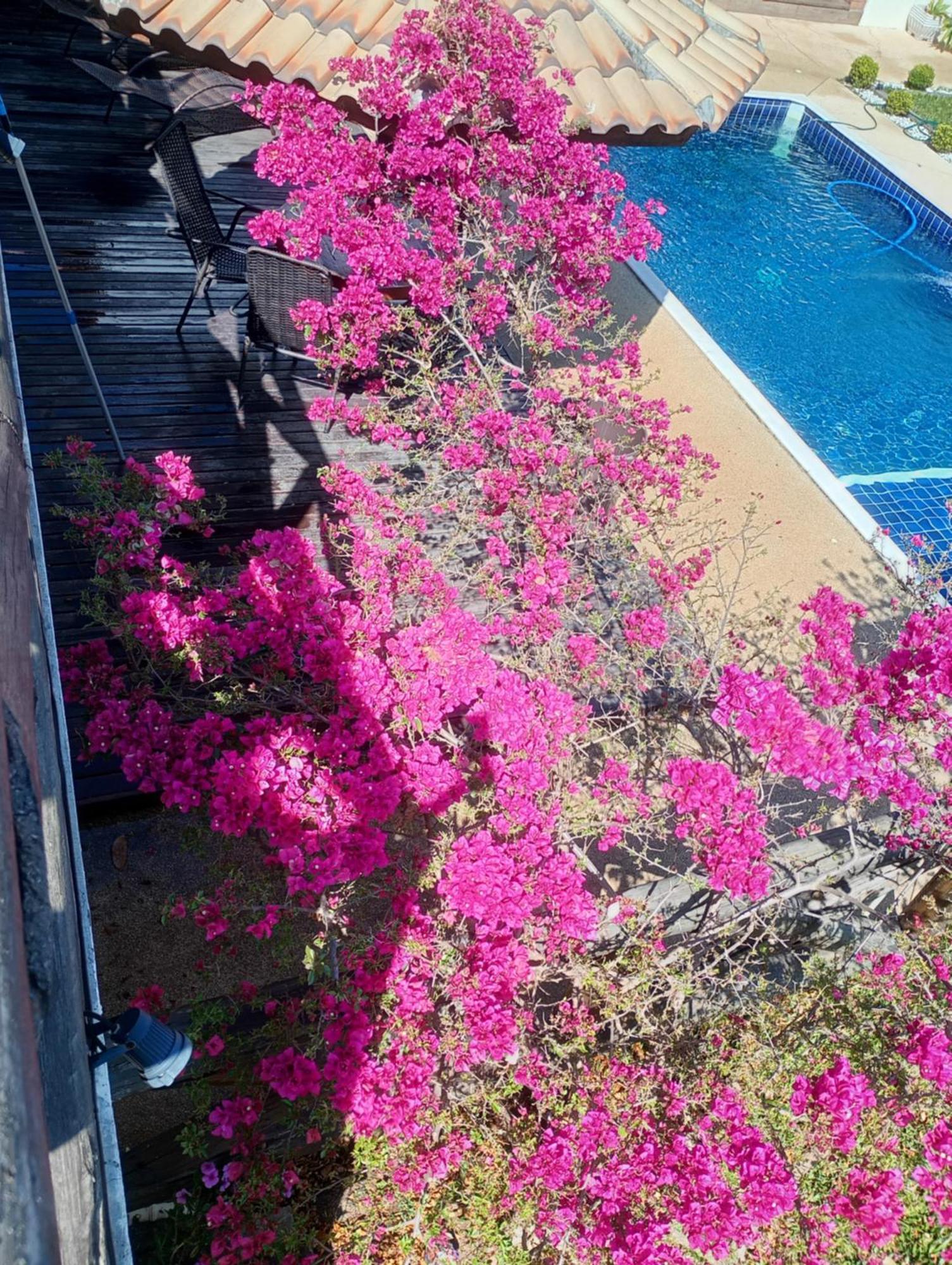 Villa Chacara Alto Padrao Em Igaratá Esterno foto